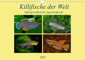 Killifische der WeltCH-Version (Wandkalender 2022 DIN A4 quer) von Pohlmann,  Rudolf