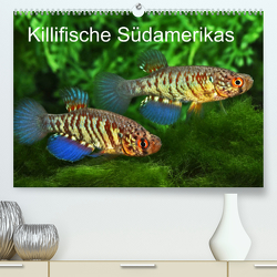 Killifische Südamerikas (Premium, hochwertiger DIN A2 Wandkalender 2023, Kunstdruck in Hochglanz) von Pohlmann,  Rudolf