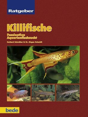 Killifische von Schmidt,  Jürgen, Schreiber,  Gerhard