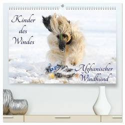 Kinder des Windes – Afghanischer Windhund (hochwertiger Premium Wandkalender 2024 DIN A2 quer), Kunstdruck in Hochglanz von Starick,  Sigrid