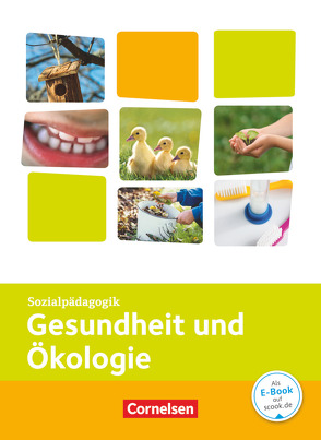 Kinderpflege – Gesundheit und Ökologie / Hauswirtschaft / Säuglingsbetreuung / Sozialpädagogische Theorie und Praxis von Schauer,  Thomas