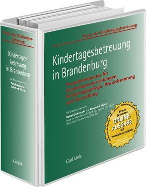 Kindertagesstätten in Brandenburg von Diskowski,  Detlef, Wilms,  Reinhard