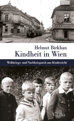 Kindheit in Wien von Birkhan,  Helmut