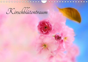 Kirschblütentraum (Wandkalender 2023 DIN A4 quer) von Herzog,  Uwe