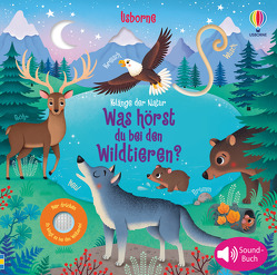 Klänge der Natur: Was hörst du bei den Wildtieren? von Iossa,  Federica, Taplin,  Sam