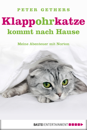 Klappohrkatze kommt nach Hause von Gethers,  Peter, Trinkaus,  Petra