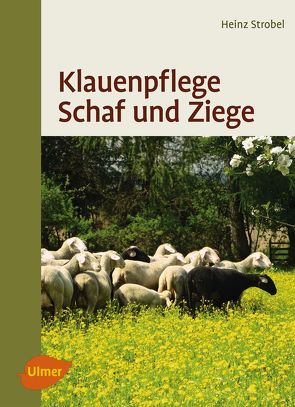 Klauenpflege Schaf und Ziege von Strobel,  Heinz
