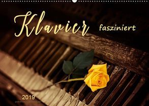 Klavier fasziniert (Wandkalender 2019 DIN A2 quer) von Roder,  Peter