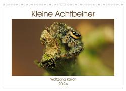 Kleine Achtbeiner (Wandkalender 2024 DIN A3 quer), CALVENDO Monatskalender von Kairat,  Wolfgang