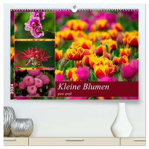 Kleine Blumen ganz groß (hochwertiger Premium Wandkalender 2024 DIN A2 quer), Kunstdruck in Hochglanz von Reznicek,  M.