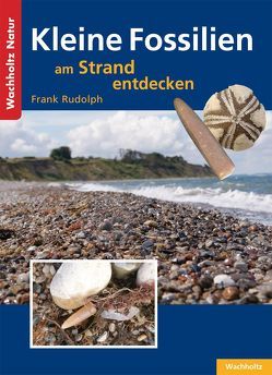 Kleine Fossilien am Strand entdecken von Rudolph,  Frank