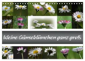 kleine Gänseblümchen ganz groß (Wandkalender 2024 DIN A4 quer), CALVENDO Monatskalender von SchnelleWelten,  SchnelleWelten