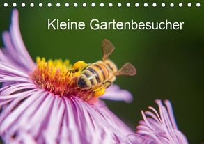 Kleine Gartenbesucher (Tischkalender 2019 DIN A5 quer) von Homburger,  Rainer