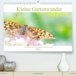 Kleine Gartenwunder (Premium, hochwertiger DIN A2 Wandkalender 2022, Kunstdruck in Hochglanz) von Geisdorf,  Linda