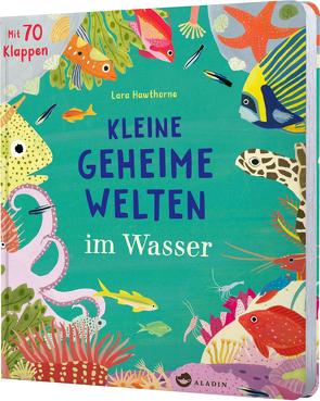 Kleine geheime Welten im Wasser von Hawthorne,  Lara, Klein,  Susanne