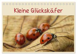 Kleine Glückskäfer (Tischkalender 2024 DIN A5 quer), CALVENDO Monatskalender von Doberstein,  Judith