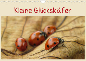 Kleine Glückskäfer (Wandkalender 2023 DIN A4 quer) von Doberstein,  Judith