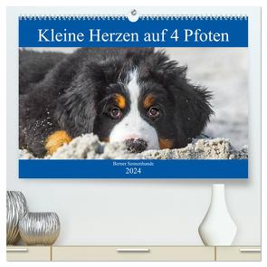 Kleine Herzen auf 4 Pfoten – Berner Sennenhunde (hochwertiger Premium Wandkalender 2024 DIN A2 quer), Kunstdruck in Hochglanz von Starick,  Sigrid