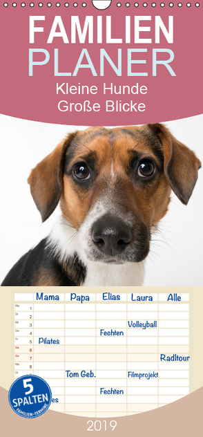 Kleine Hunde – Große Blicke – Familienplaner hoch (Wandkalender 2019 , 21 cm x 45 cm, hoch) von Akrema-Photography