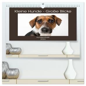 Kleine Hunde – Große Blicke (hochwertiger Premium Wandkalender 2024 DIN A2 quer), Kunstdruck in Hochglanz von Akrema-Photography,  Akrema-Photography