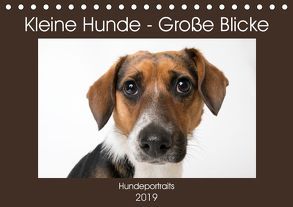 Kleine Hunde – Große Blicke (Tischkalender 2019 DIN A5 quer) von Akrema-Photography