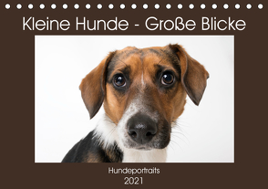 Kleine Hunde – Große Blicke (Tischkalender 2021 DIN A5 quer) von Akrema-Photography