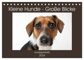 Kleine Hunde – Große Blicke (Tischkalender 2024 DIN A5 quer), CALVENDO Monatskalender von Akrema-Photography,  Akrema-Photography