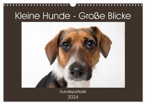 Kleine Hunde – Große Blicke (Wandkalender 2024 DIN A3 quer), CALVENDO Monatskalender von Akrema-Photography,  Akrema-Photography