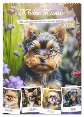 Kleine Hunde. Süß und niedlich. Die beliebtesten Hunderassen (Wandkalender 2024 DIN A2 hoch), CALVENDO Monatskalender von Hurley,  Rose