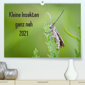 Kleine Insekten ganz nah (Premium, hochwertiger DIN A2 Wandkalender 2021, Kunstdruck in Hochglanz) von Blickwinkel,  Dany´s