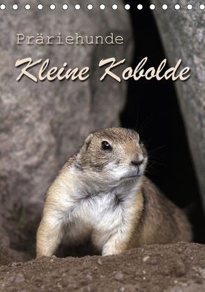 Kleine Kobolde – Präriehunde (Tischkalender 2018 DIN A5 hoch) von Berg,  Martina
