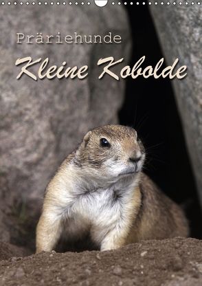 Kleine Kobolde – Präriehunde (Wandkalender 2018 DIN A3 hoch) von Berg,  Martina