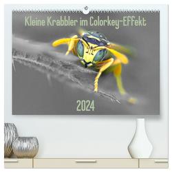 Kleine Krabbler im Colorkey-Effekt (hochwertiger Premium Wandkalender 2024 DIN A2 quer), Kunstdruck in Hochglanz von Blickwinkel,  Dany´s