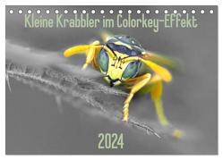 Kleine Krabbler im Colorkey-Effekt (Tischkalender 2024 DIN A5 quer), CALVENDO Monatskalender von Blickwinkel,  Dany´s