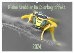 Kleine Krabbler im Colorkey-Effekt (Wandkalender 2024 DIN A2 quer), CALVENDO Monatskalender von Blickwinkel,  Dany´s