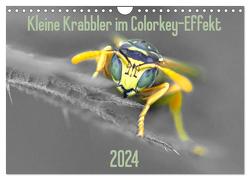 Kleine Krabbler im Colorkey-Effekt (Wandkalender 2024 DIN A4 quer), CALVENDO Monatskalender von Blickwinkel,  Dany´s