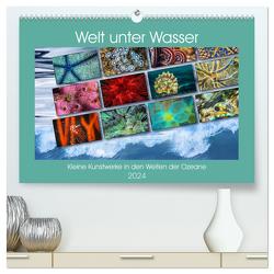 Kleine Kunstwerke in den Weiten der Ozeane (hochwertiger Premium Wandkalender 2024 DIN A2 quer), Kunstdruck in Hochglanz von Gödecke,  Dieter