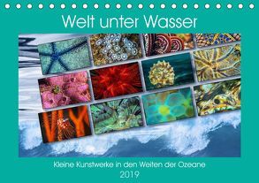 Kleine Kunstwerke in den Weiten der Ozeane (Tischkalender 2019 DIN A5 quer) von Gödecke,  Dieter