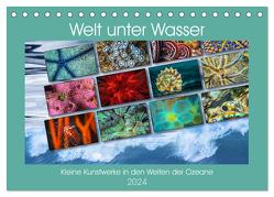 Kleine Kunstwerke in den Weiten der Ozeane (Tischkalender 2024 DIN A5 quer), CALVENDO Monatskalender von Gödecke,  Dieter