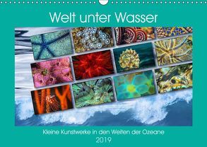 Kleine Kunstwerke in den Weiten der Ozeane (Wandkalender 2019 DIN A3 quer) von Gödecke,  Dieter