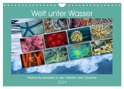 Kleine Kunstwerke in den Weiten der Ozeane (Wandkalender 2024 DIN A4 quer), CALVENDO Monatskalender von Gödecke,  Dieter