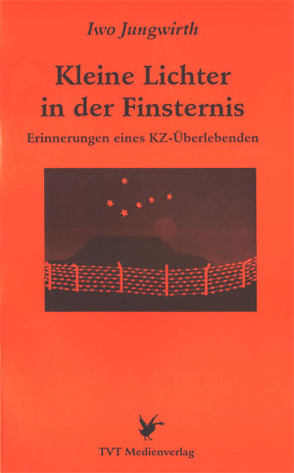 Kleine Lichter in der Finsternis von Jungwirth,  Iwo, Nessler,  Udo, Schenk,  Otto