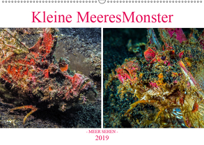 Kleine MeeresMonster (Wandkalender 2019 DIN A2 quer) von Gödecke,  Dieter