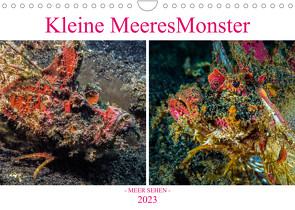 Kleine MeeresMonster (Wandkalender 2023 DIN A4 quer) von Gödecke,  Dieter