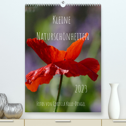 Kleine Naturschönheiten (Premium, hochwertiger DIN A2 Wandkalender 2023, Kunstdruck in Hochglanz) von - Photographie,  CoKeDi, Kelle-Dingel,  Cordula