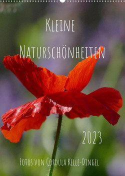 Kleine Naturschönheiten (Wandkalender 2023 DIN A2 hoch) von - Photographie,  CoKeDi, Kelle-Dingel,  Cordula