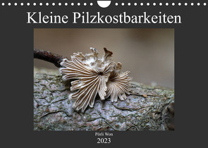 Kleine Pilzkostbarkeiten (Wandkalender 2023 DIN A4 quer) von Won,  Pörli