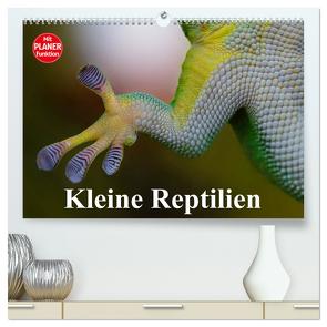 Kleine Reptilien (hochwertiger Premium Wandkalender 2024 DIN A2 quer), Kunstdruck in Hochglanz von Stanzer,  Elisabeth