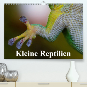 Kleine Reptilien (Premium, hochwertiger DIN A2 Wandkalender 2021, Kunstdruck in Hochglanz) von Stanzer,  Elisabeth