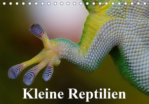 Kleine Reptilien (Tischkalender 2021 DIN A5 quer) von Stanzer,  Elisabeth